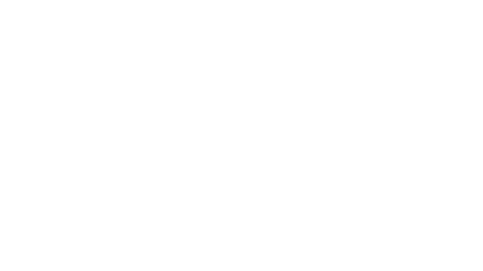 VCvF - Logo - weiß